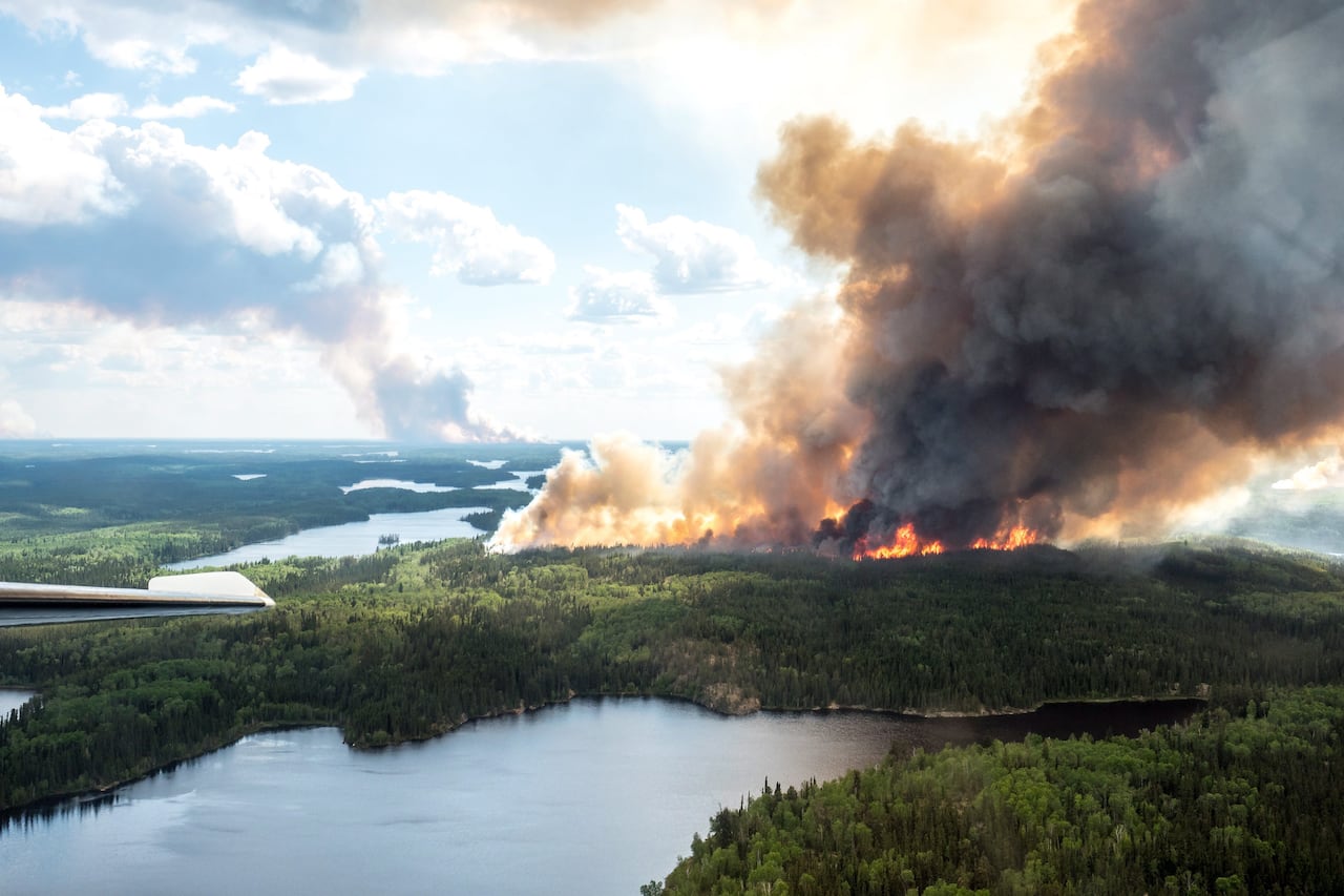 Smoke and flames rise from a forest.