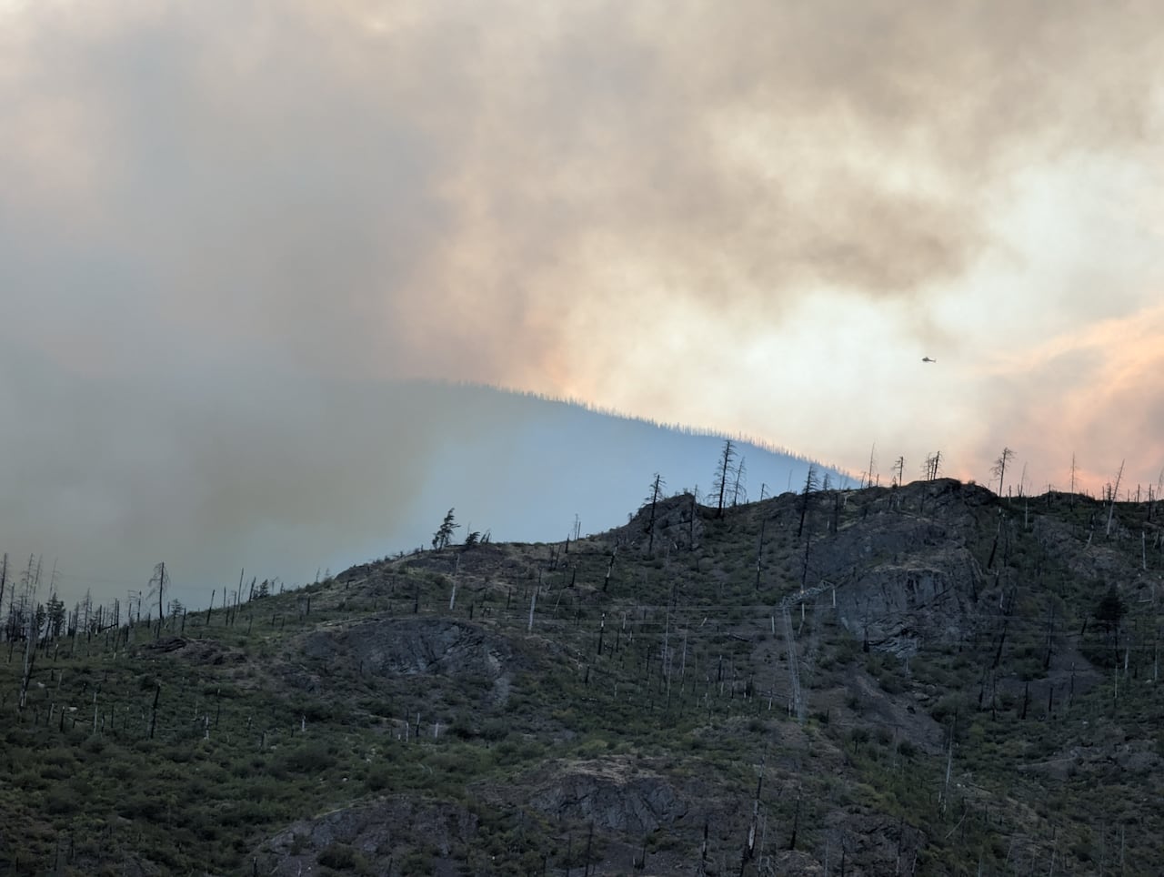 A scorched hill.